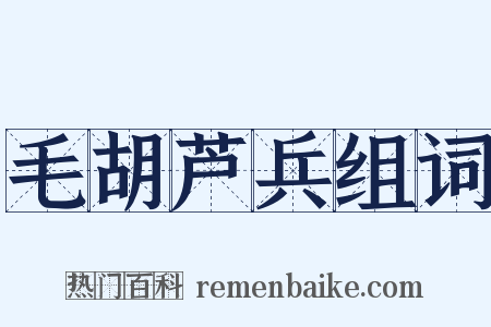 毛胡芦兵组词是什么意思的图片